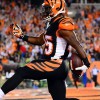 Cincinnati Bengals at Baltimore Ravens