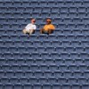 Michigan Governor on sports: “We’re going to watch it differently” GettyImages-103532130-e1593522306308.jpg